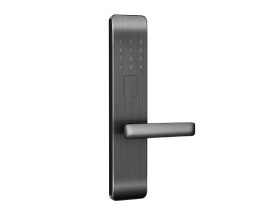 Khoá cửa Zigbee màu đen 5 cách mở khoá DL2-D/ZB