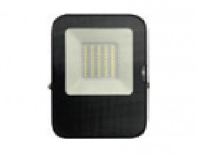 Đèn Pha LED Nanoco NLFV0104 10W -Trung tính 4000K