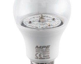 LED Bulb thanh long LBF-9