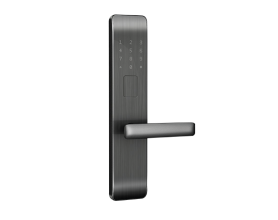 Khoá cửa Zigbee màu đen 5 cách mở khoá DL2-D/ZB