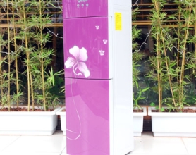 Cây Nước Nóng Lạnh Cao Cấp FujiE WDX5PC