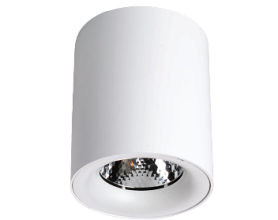 ĐÈN DOWNLIGHT TRÒN LẮP NỔI MPE 12W