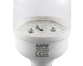 LED Bulb thanh long LBF-12