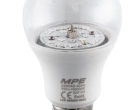 LED Bulb thanh long LBF-9