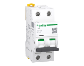 CẦU DAO TỰ ĐỘNG iC60L - MCB 2P, 15kA ,230V, 50A, Mã A9F94250
