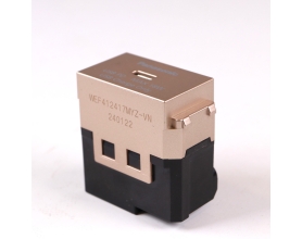 Wide_Ổ cắm USB WEF412417MYZ-VN 1 cổng type C màu vàng kim