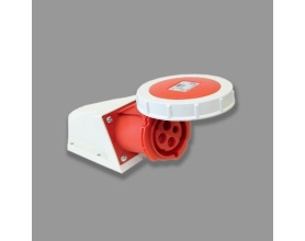 Ổ cắm dành cho Container F1242-3V gắn nổi