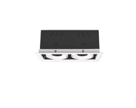 Đèn Led Âm Trần 18W X 2, Trắng - Vàng, Khoét Lỗ L250 X W123mm EC-LA269