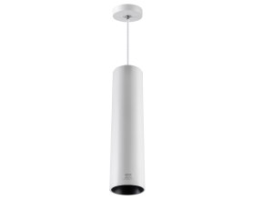 LED chiếu điểm dạng treo 30W ánh sáng vàng DPL-30V
