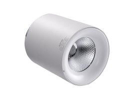 LED chiếu điểm gắn nổi 25W ánh sáng vàng SDL-25V/T