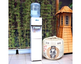 Cây Nước Nóng Lạnh Cao Cấp FujiE WDBY300