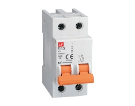 MCB LS 2P 40 - 63A 6KA (BKN 2P)