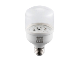 LED Bulb thanh long LBF-12