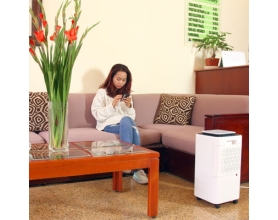 Máy Hút Ẩm Dân Dụng FujiE HM-912EC