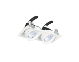 Đèn Led Âm Trần 12W X 2, Trắng - Vàng, Khoét Lỗ L190 X W95mm EC-LA512