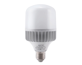 LED Bulb thân nhôm 20W ánh sáng trắng LB-20T
